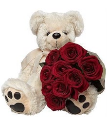 9 Red Roses and Teddy Bear